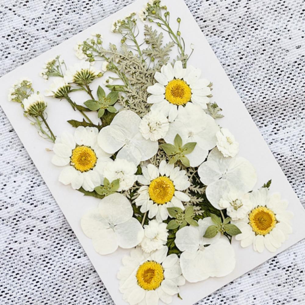 Natural Herbs Kit Dried Pressed Flowers Real Pressed Flowers Dry Leaves Bulk for Scrapbooking DIY Art Crafts Epoxy Jewelry Molds Soap Making
