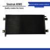 Сетка испарителя кондиционера Sinotruk HOWO WG1642820010
