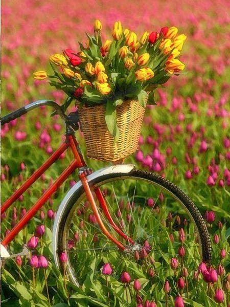 Алмазная картина велосипед Алмазная вышивка мозаика цветок вышивка крестом мозаика ремесла комплект украшения дома