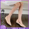 Pointed Single Shoes Women's Nude Inner Height Increase Temperament Women's Shoes Light Mouth with Skirt Flats