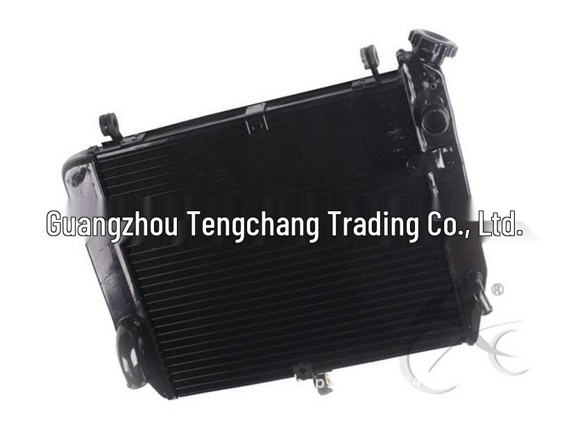 YZF1000 R1 2002-03 Сборка радиатора Водяной радиатор