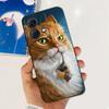 For Motorola Moto G84 Case MotoG84 G 84 5G 2023 Cute Painted Soft Silicone TPU Phone Back Cover Bumper