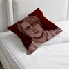 Cute HHannibal and Will Chibi Square Pillow Case Soft Decorative Throw Pillow Cover for Home Sofa Bed
