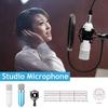 ISK AT100 Конденсаторный студийный микрофон Микрофон для звукозаписи Микрофонный комплект - intl Студийный микрофон