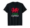 Флаг валлийского дракона, Флаг Уэльса Cymru, Средневековая валлийская футболка для регби