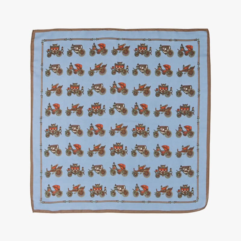 PINK PINEAPPLE COACH SCARF