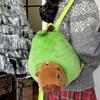 Кавайная капибара в рюкзаке-авокадо Мультяшная плюшевая кукла капибара Креативная плюшевая игрушка Сумка-фрукт Пушистая подушка Подушка для сиденья Подарок на день рождения