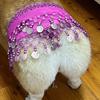 Сверкающая юбка для танца живота на талию для собаки, регулируемая длина, костюм для танца живота корги, аксессуар для вечеринки и сценического шоу питомца