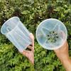 Clear Plastic Orchid Pots With Holes Transparent Flower Pot Succulents PlantPlant Container