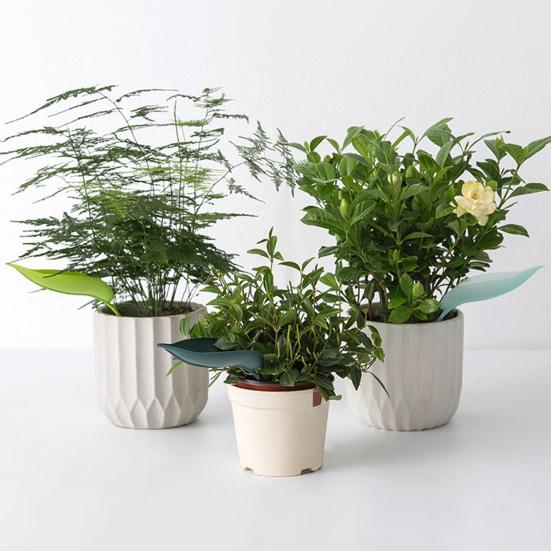 12 шт. поилка для цветов в форме листа самополивающийся вставной горшок для полива шипы легко