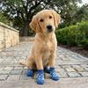 4PCS Wear Resistant Dog Anti-slip Socks Elastic Pet Floor Socks Pet Footwear  for Dogs Cats