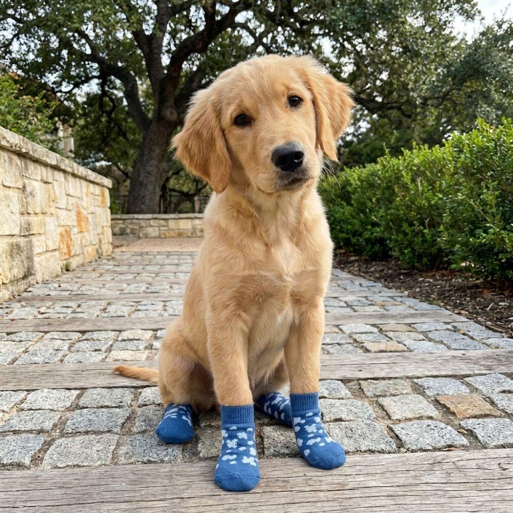 4PCS Wear Resistant Dog Anti-slip Socks Elastic Pet Floor Socks Pet Footwear for Dogs Cats