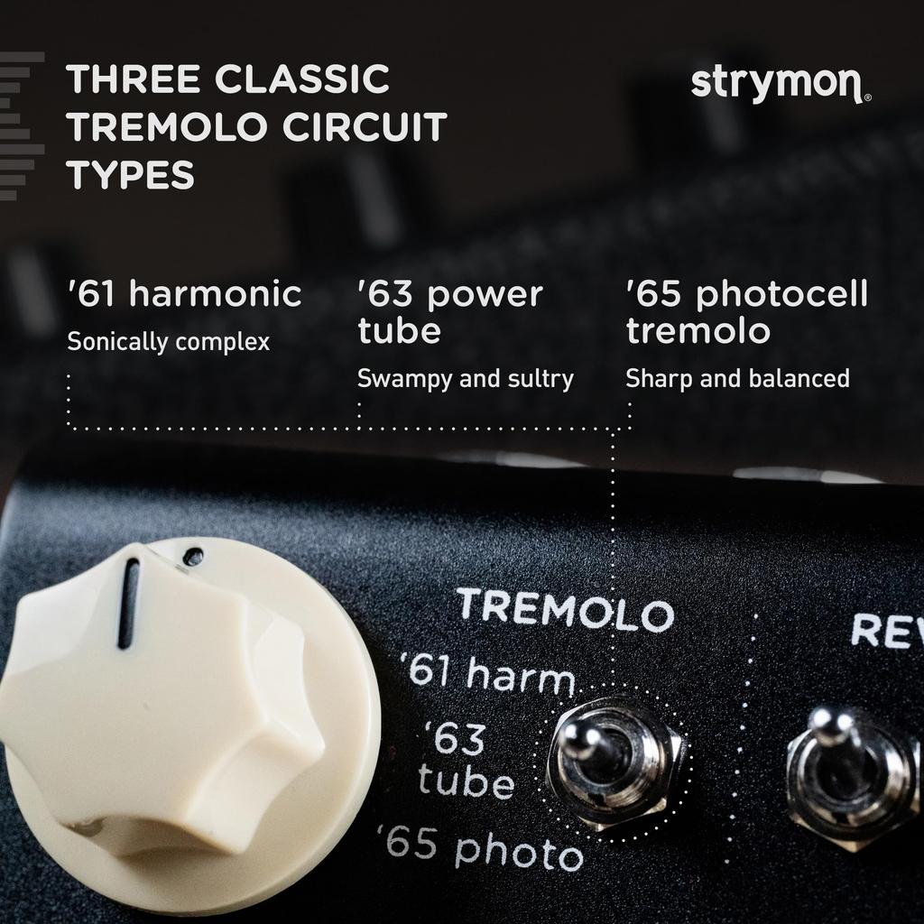 V2 Flint Reverb Tremolo Strymon/FLINT и