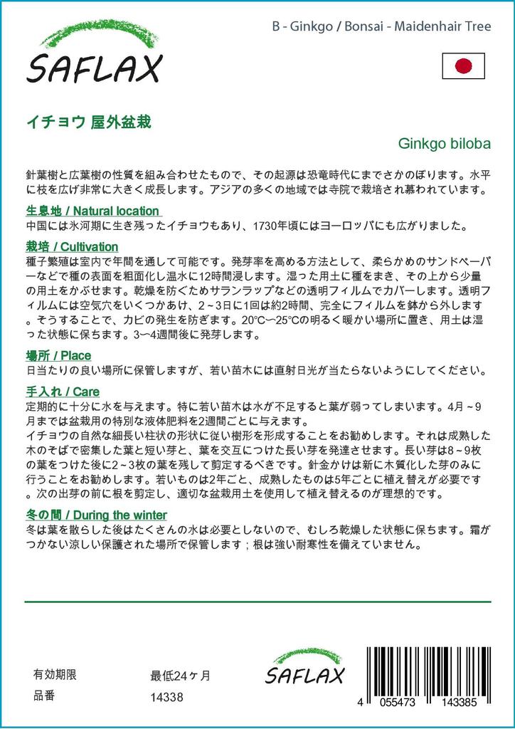 SAFLAX Garden in the Bag - Бонсай - Дерево девичьего волоса - 4 семени - С субстратом в подходящем пакете - Гинкго двулопастный
