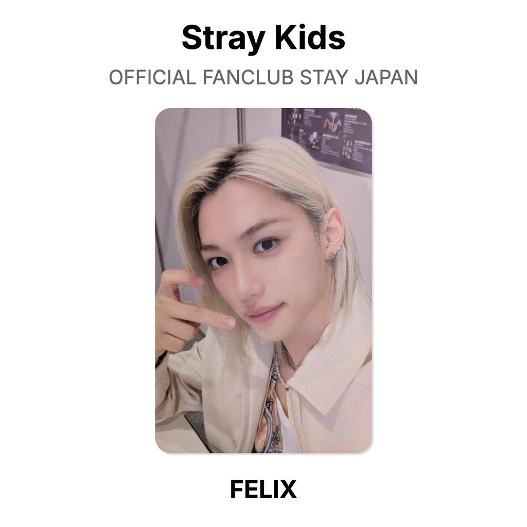 Stray Kids ОФИЦИАЛЬНЫЙ ФАН-КЛУБ STAY JAPAN Официальная фотокарточка