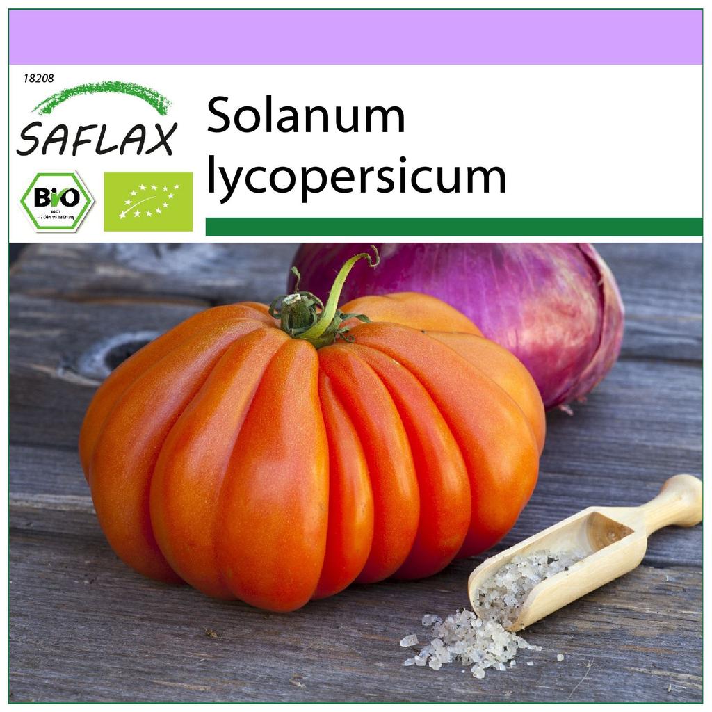 SAFLAX Organic - Tomato - Oxheart - 10 Seeds - Solanum Lycopersicum