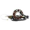 Stator Generator For SMC Barossa Canyon 500 RAM 503 520 RR Explorer Trasher 520
