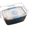 Tableware 2 Layer Lunch Box Leak Proof 2000ML Food Storage Container with Dressing Container Compartment Salad Box Worker