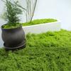 30/100 г Искусственный Зеленый Мох Поделки для DIY Комнатные Растения Сказочные Сады Центральные Элементы Стола Аквариумы Микроландшафт Декоративный Искусственный Мох