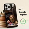 Чехол для телефона 'Девочка, которая плакала жемчугом' для iPhone 17, 16, 15, 14, 13, 12, 11 Plus, Pro Max Магнитный для беспроводной зарядки Magsafe