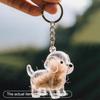Clear Puppy Hair Memorial Keepsake Capsule Pet'S Dog Fur Container Diy Pendant Keychain Decor Pet Lovers Home Display Gifts