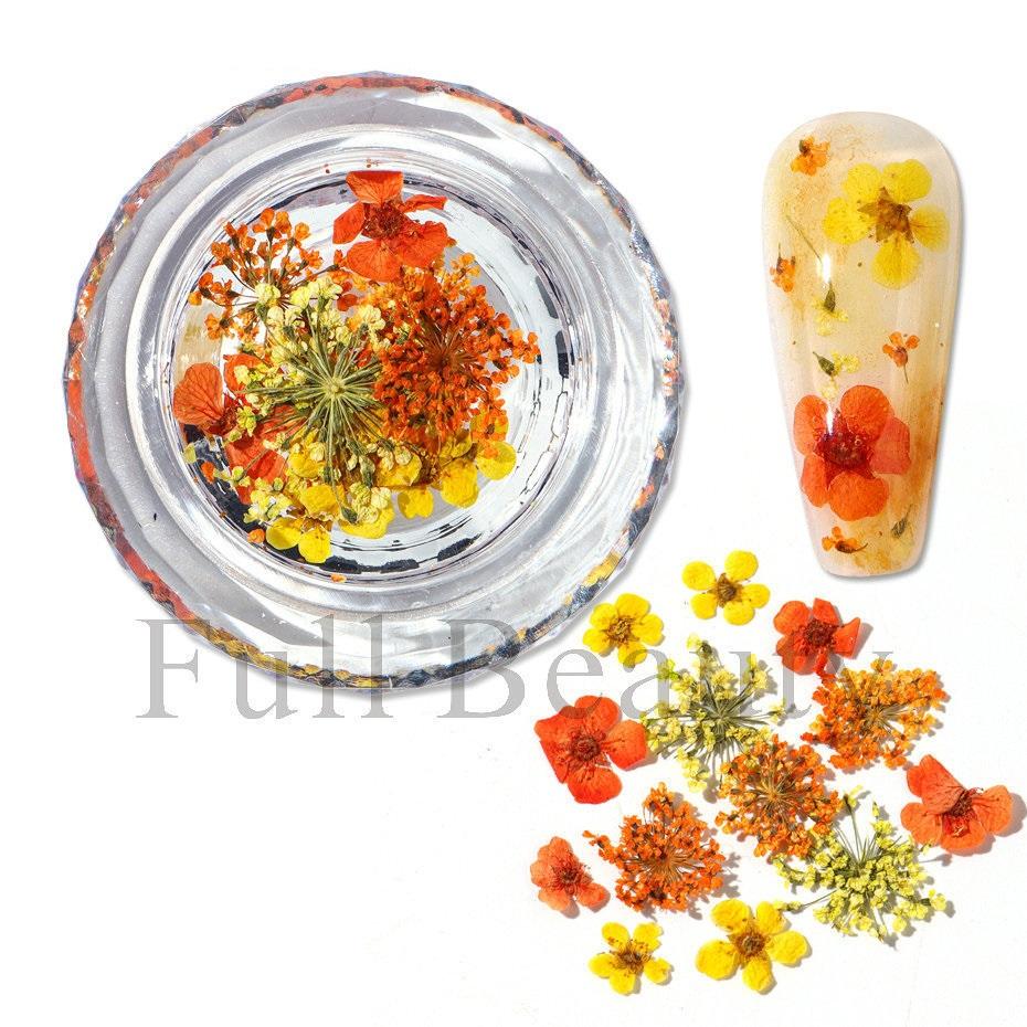1 коробка для ногтей, сушеные цветы, маленькие ромашки, натуральные цветочные наклейки, смешанные сухие цветы, сделай сам, наклейки для дизайна ногтей, УФ-гель-лак для маникюра