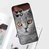 Чехол для телефона OnePlus с изображением британской короткошерстной кошки для OnePlus Nord CE 5 3 4 Lite N20 N30 OnePlus 15 13 12 11 9 10 Pro 13T 13R 10T