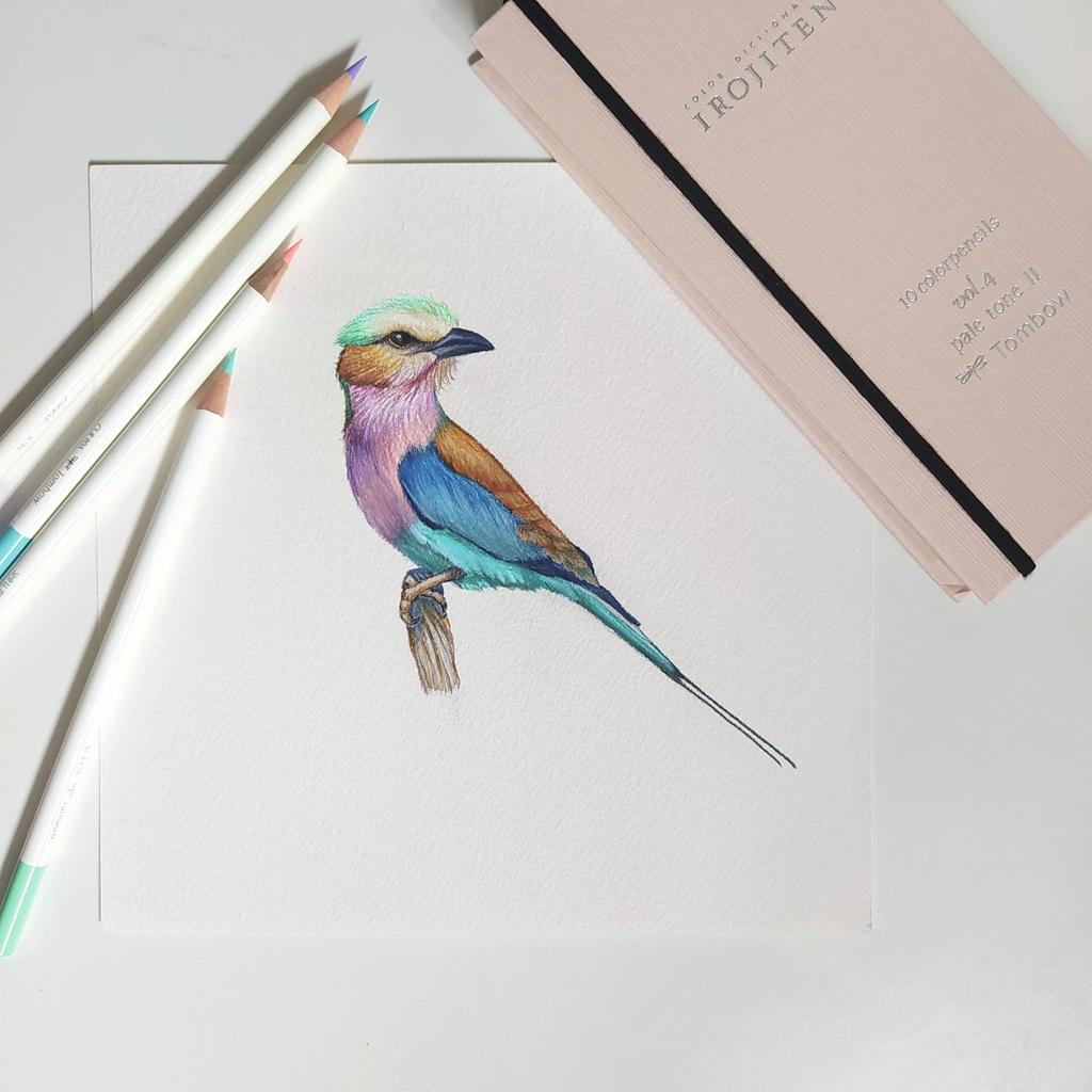 Tombow Цветные 30 цветов Цвет Том 3 Глянцевые Флуоресцентные Карандаши, (Тип книги), толковый словарь, (30 цветов) CI-RTC