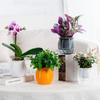 Double Layer Self-Watering Plant Pots Automatic Water-Absorbing Flower Vase Desktop Flower Pot