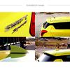 Eve Design Swift Design Антенна Тип 3 / SUZUKI SWIFT/SWIFT
