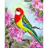 5D DIY Diamond Painting Coloured Bird Embroidery Cross Stitch Rhinestone Mosaic Home Decor