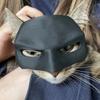 Маска летучей мыши, кошки, мстителя, креативная черная маска летучей мыши, декоративная маска кошки, полумаска для кошки на Хэллоуин, товары для косплея для домашних животных