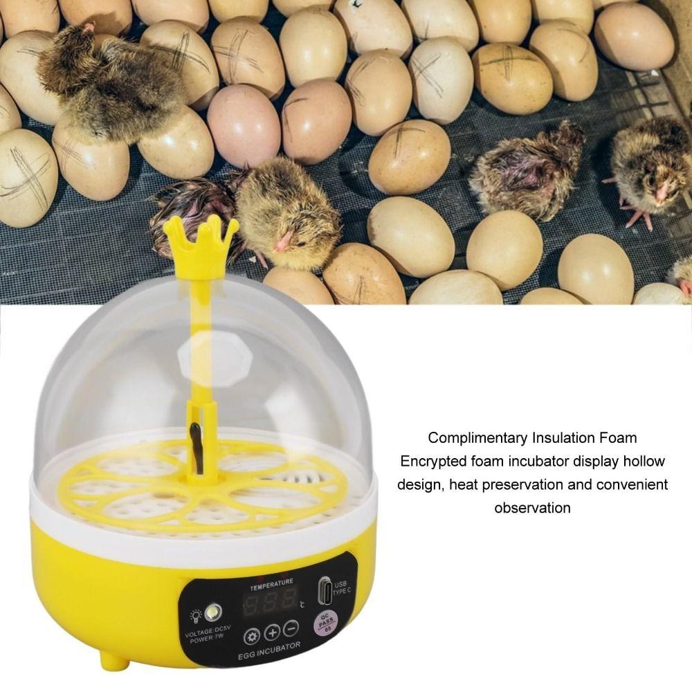 Temperature Humidity Control Mini Egg Incubator Chicken Duck Pigeon Quail Bird