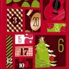 Advent Calendars 2025, Guitar Player Christmas Countdown Calendar With 22 Picks And Pick Holder, Bass Ukulele Music Lover Gift