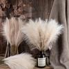 GeeParty 10Pcs Fluffy Pampas Grass Fake Reed Simulated Artificial Flower Boquet for Birthday Party Decoration