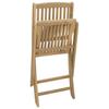 Garden Chairs 2 pcs Foldable 44 x 50 x 88 cm Solid Acacia Wood