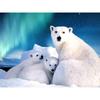 DIY Polar Bear 5D Diamond Painting Full Round Drill Animal Diamond Embroidery Cross Stitch Kit Mosaic Wall Art Home Decor