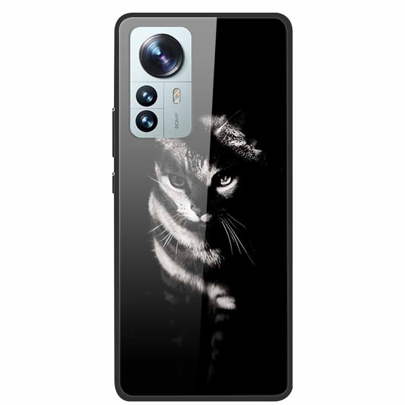 Чехол для Redmi Note 12S Закаленное Стекло Жесткая Задняя Крышка для Xiaomi Redmi Note 12 Note12 Pro 4G 5G Чехлы для Телефона Note12S 12 S 12Pro