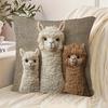 Наволочки из альпаки, машинная стирка, полиэстер с застежкой-молнией, винтажный домашний декор, подходят для гостиной