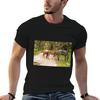 Cumberland Island Wild Horses Have The Run Of The Island Tshirt Unisex T Shirt Designer Cotton T Shirt Unisex Tshirt