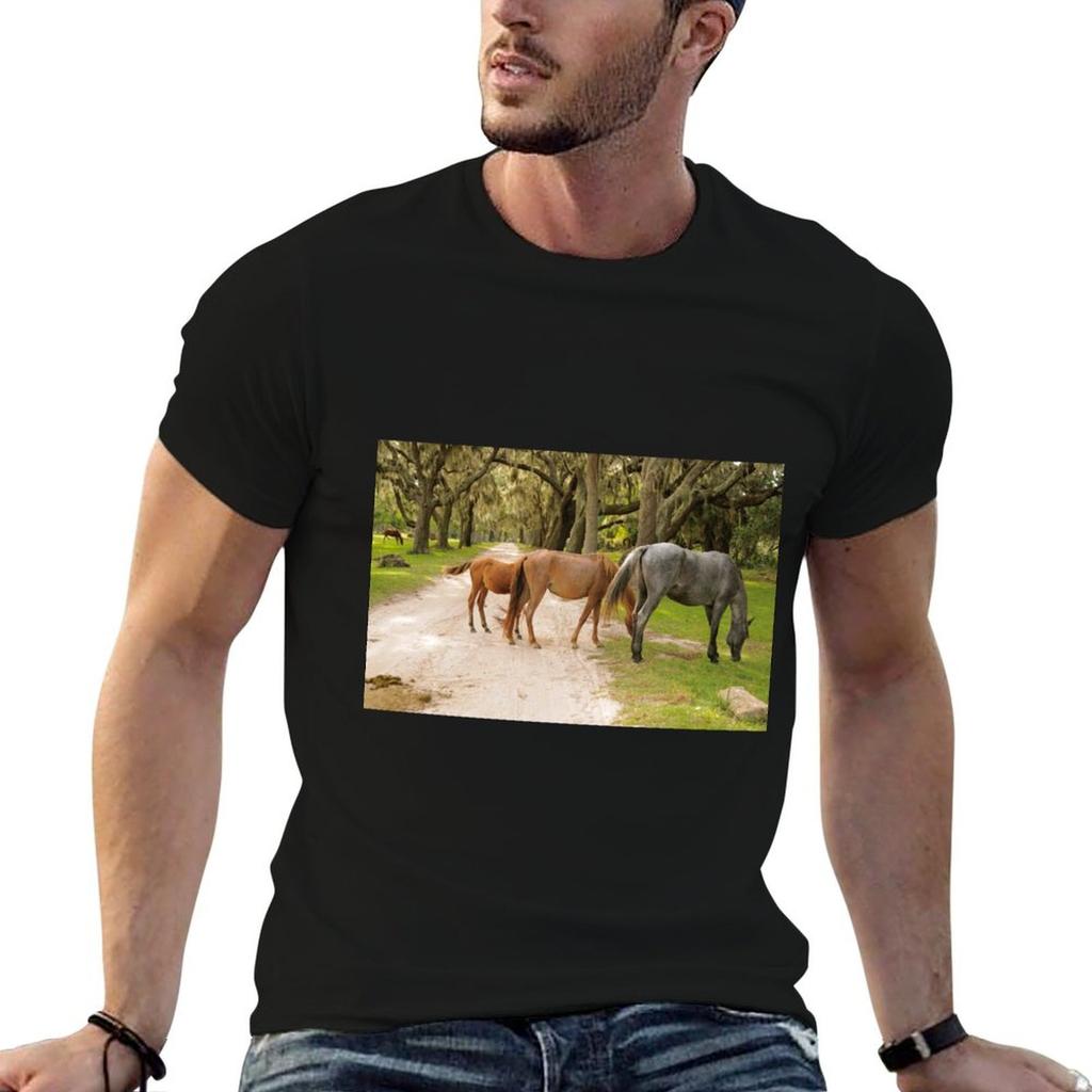 Cumberland Island Wild Horses Have The Run Of The Island Tshirt Unisex T Shirt Designer Cotton T Shirt Unisex Tshirt