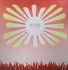 12-дюймовая пластинка KAORI Good Life SUSHI35 DISORIENT 2002 UK Dance Electronica Б/у