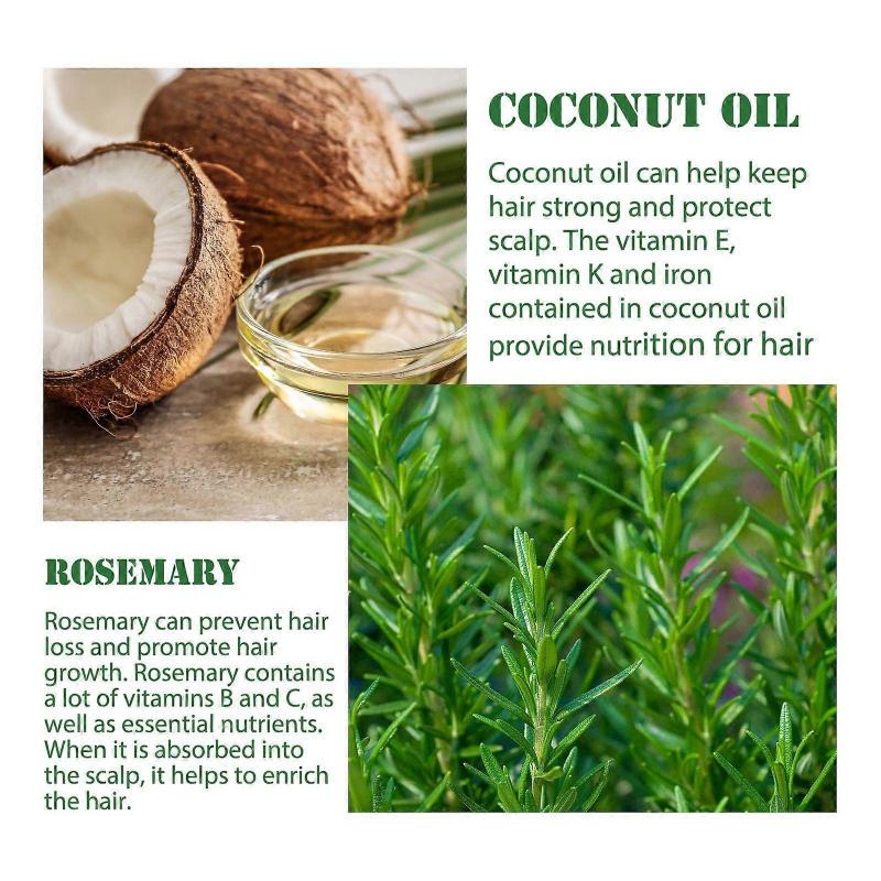 Multi-effect rosemary essential oil strong firm hair moisturizing thick hair skin care multi-effect essential oil