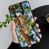 Phone Case For Samsung A17 A55 A16 A56 A35 A15 A53 A54 A33 A34 A25 A05S A52 A52S A07 A26 A06 Cute Koala Sleeping