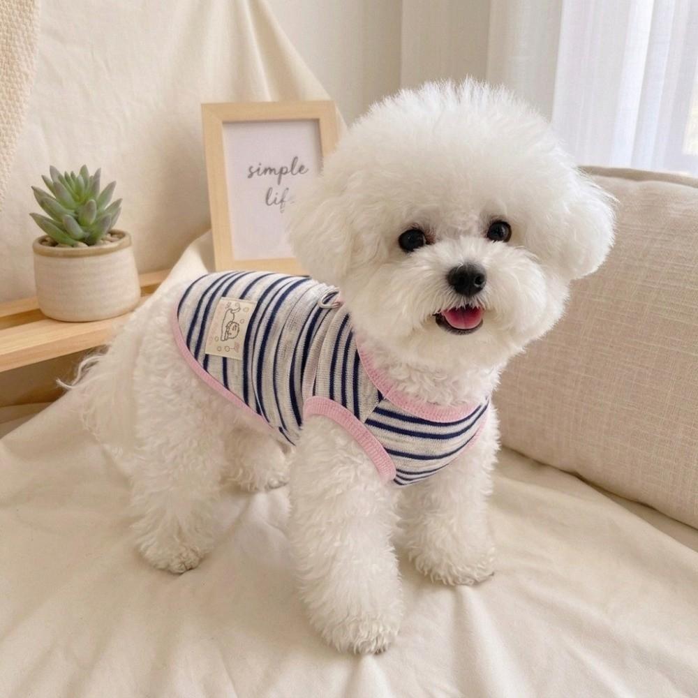 Breathable Summer Dog Vest D-Ring Harness Puppy Clothing New Dog Tulle Dress Photoshoot Use