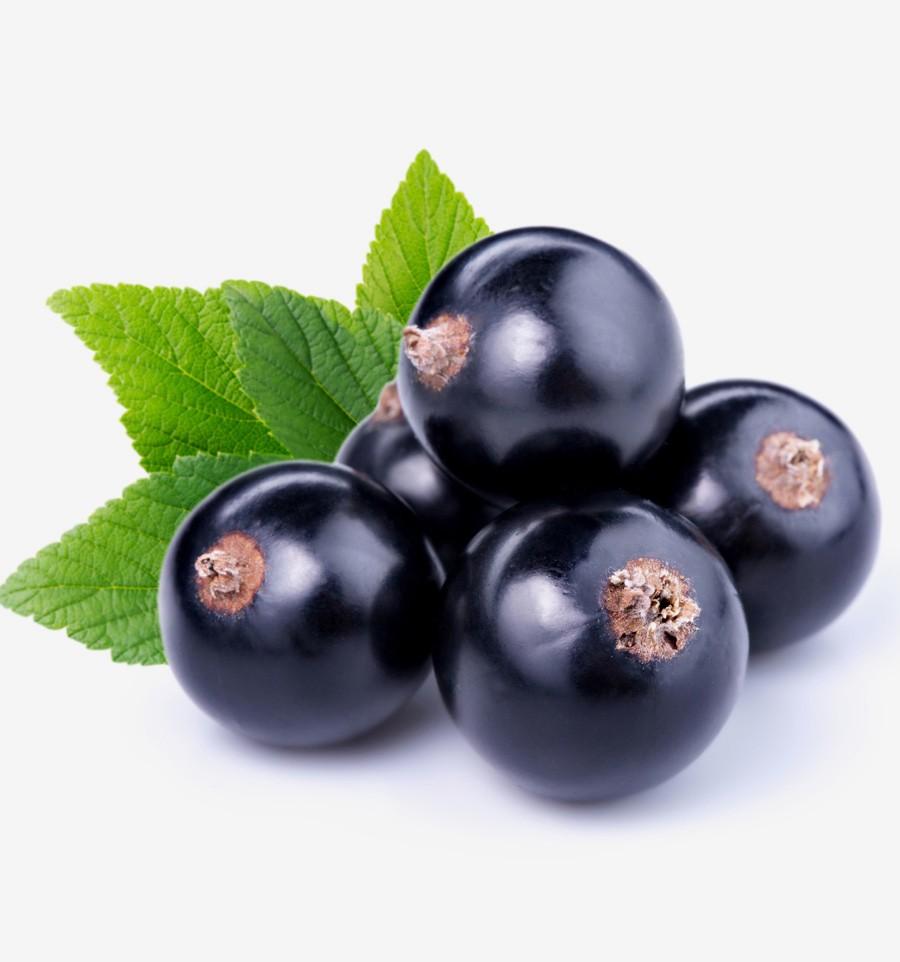 Yodeyma Celebrity Woman Парфюмированная парфюмированная вода для женщин 15 мл