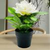 Artificial Potted Peony Flower Home Office Living Room Table Centerpiece Wedding Faux