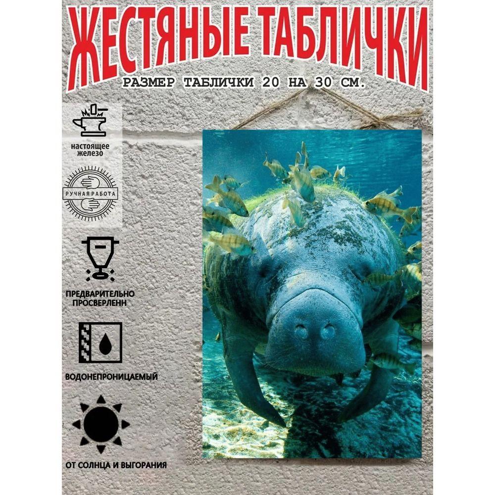 Металлические Настенные Знаки, Коллекция Морских Существ, Декор Комнаты, 20x30 см