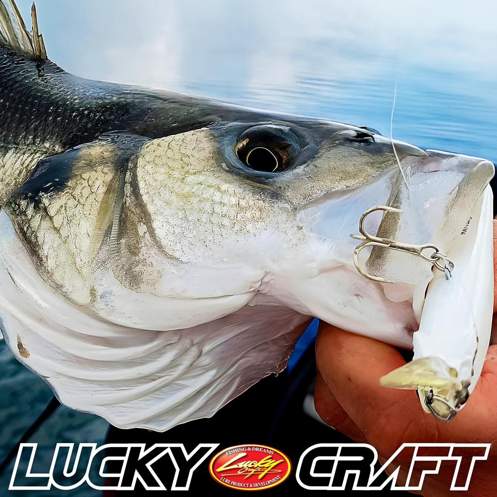 Лаки Крафт США (LUCKY CRAFT) Pointer 100S Рыболовная приманка Воблер