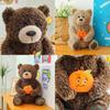 Bear Teddy Cute Doll Stuffed Teddy With Pp Cotton Material Kids Doll Companion